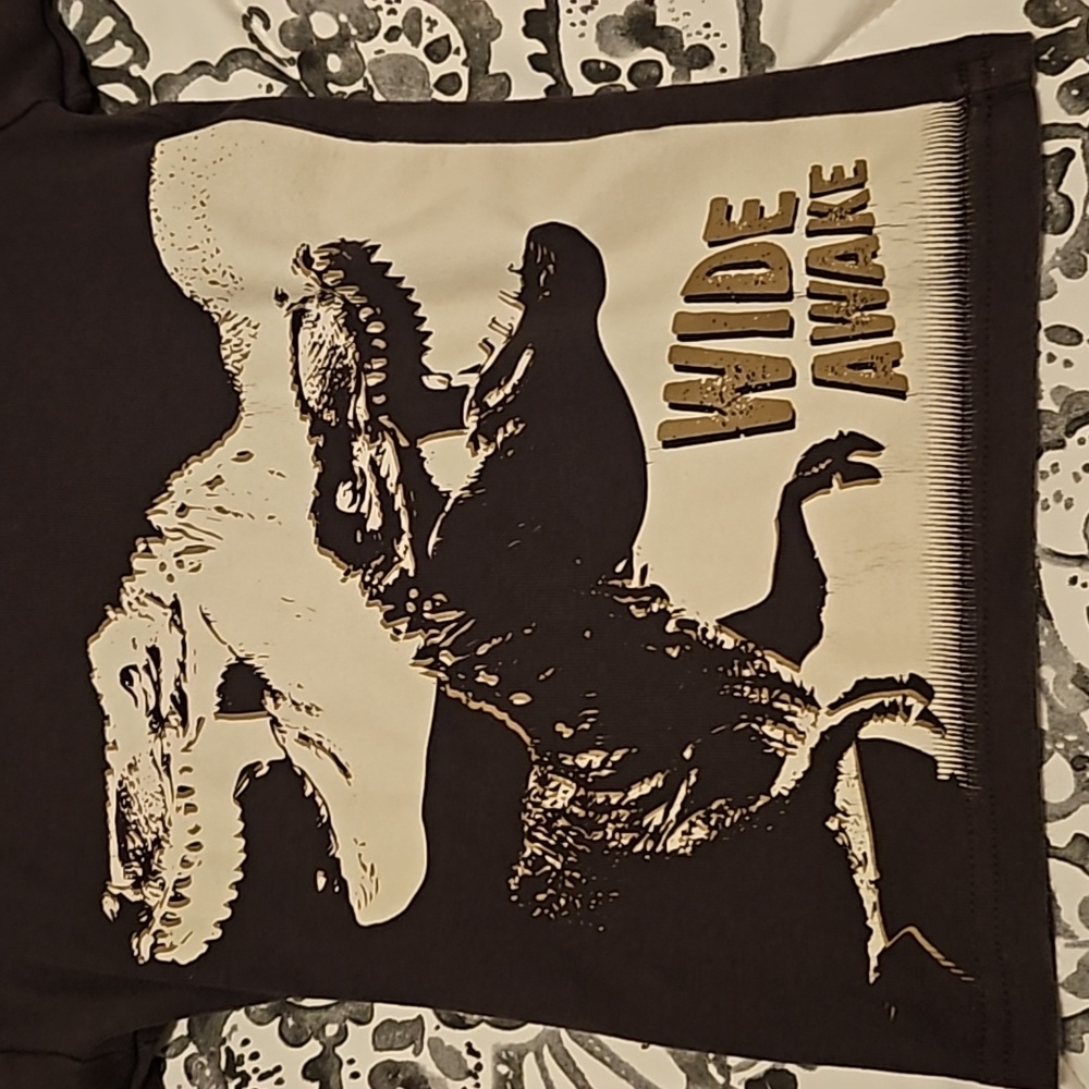 Long-Sleeve Dinosaur Kids' Tee